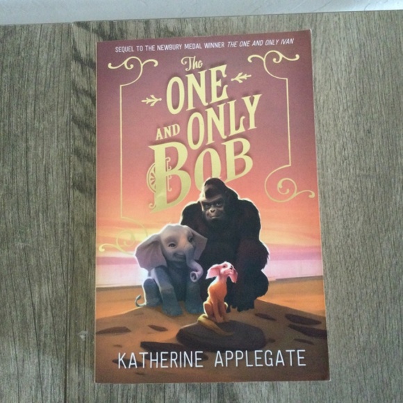 The one and only Bob and the miraculous journey of Edward Tulane books - Picture 8 of 9